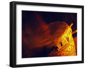 African Drumming, South Luangwa National Park, Zambia-John Warburton-lee-Framed Premium Photographic Print