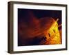 African Drumming, South Luangwa National Park, Zambia-John Warburton-lee-Framed Photographic Print