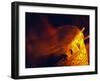 African Drumming, South Luangwa National Park, Zambia-John Warburton-lee-Framed Photographic Print