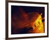 African Drumming, South Luangwa National Park, Zambia-John Warburton-lee-Framed Photographic Print