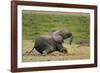 African elephant, Amboseli National Park, Kenya.-Sergio Pitamitz-Framed Photographic Print