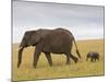 African Elephant and Baby (Loxodonta Africana), Masai Mara National Reserve, Kenya-Sergio Pitamitz-Mounted Photographic Print