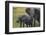 African Elephant and Calf Grazing-DLILLC-Framed Photographic Print