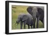 African Elephant and Calf Grazing-DLILLC-Framed Photographic Print