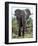 African Elephant Approach-Martin Fowkes-Framed Giclee Print