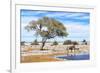 African Elephant at Water Pool in Etosha National Park-Checco-Framed Photographic Print