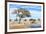 African Elephant at Water Pool in Etosha National Park-Checco-Framed Photographic Print