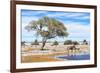 African Elephant at Water Pool in Etosha National Park-Checco-Framed Photographic Print