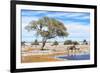 African Elephant at Water Pool in Etosha National Park-Checco-Framed Photographic Print