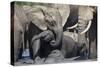 African Elephant Babies (Loxodonta Africana) Playing in Hapoor Waterhole-Ann and Steve Toon-Stretched Canvas