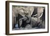 African Elephant Babies (Loxodonta Africana) Playing in Hapoor Waterhole-Ann and Steve Toon-Framed Photographic Print