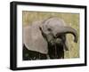 African Elephant Baby (Loxodonta Africana), Masai Mara National Reserve, Kenya, East Africa, Africa-Sergio Pitamitz-Framed Photographic Print