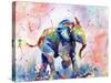 African Elephant Baby-Sarah Stribbling-Stretched Canvas