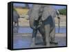 African Elephant Bathing in Watering Hole-DLILLC-Framed Stretched Canvas