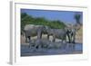 African Elephant Bathing in Watering Hole-DLILLC-Framed Photographic Print