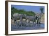 African Elephant Bathing in Watering Hole-DLILLC-Framed Photographic Print