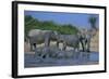 African Elephant Bathing in Watering Hole-DLILLC-Framed Photographic Print