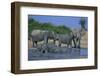 African Elephant Bathing in Watering Hole-DLILLC-Framed Photographic Print