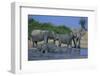 African Elephant Bathing in Watering Hole-DLILLC-Framed Photographic Print