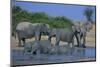 African Elephant Bathing in Watering Hole-DLILLC-Mounted Photographic Print