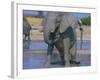 African Elephant Bathing in Watering Hole-DLILLC-Framed Photographic Print