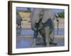 African Elephant Bathing in Watering Hole-DLILLC-Framed Photographic Print