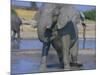 African Elephant Bathing in Watering Hole-DLILLC-Mounted Photographic Print