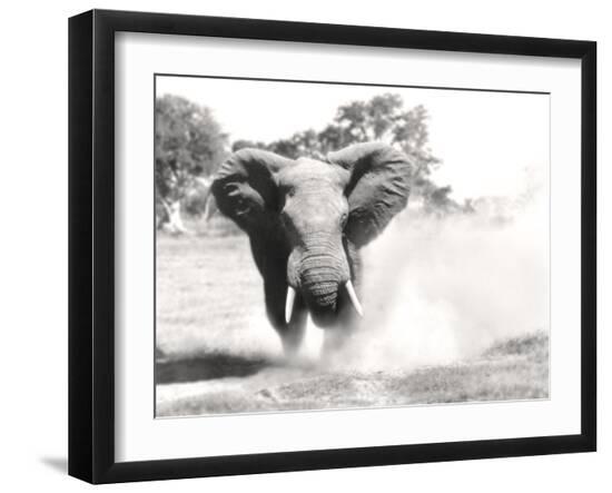 Photographic Print, , large