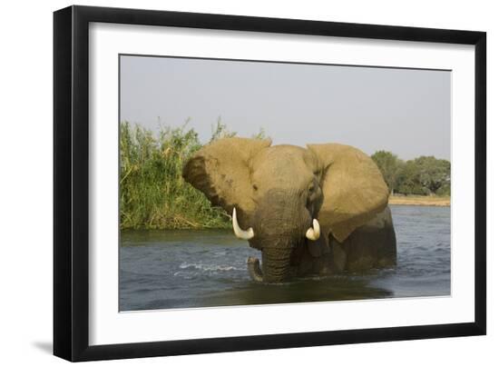 Premium Photographic Print, , large
