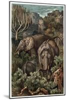 African Elephant by Alfred Edmund Brehm-Stefano Bianchetti-Mounted Giclee Print