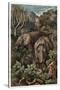 African Elephant by Alfred Edmund Brehm-Stefano Bianchetti-Stretched Canvas