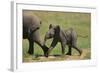 African Elephant Calf following Mother-DLILLC-Framed Photographic Print