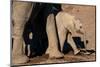 African elephant calf (Loxodonta africana), Mashatu Game Reserve, Botswana, Africa-Sergio Pitamitz-Mounted Photographic Print