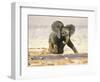 African Elephant Calf on Knees by Water, Kaokoland, Namibia-Tony Heald-Framed Premium Photographic Print