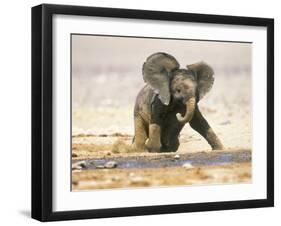 African Elephant Calf on Knees by Water, Kaokoland, Namibia-Tony Heald-Framed Photographic Print