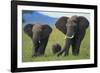 African Elephant Calf Walking between Adults-DLILLC-Framed Photographic Print