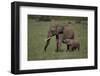 African Elephant Calf with Mother in Grass-DLILLC-Framed Photographic Print