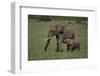 African Elephant Calf with Mother in Grass-DLILLC-Framed Photographic Print