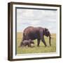 African Elephant Calf with Mother in Savanna-null-Framed Photographic Print