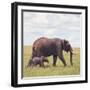 African Elephant Calf with Mother in Savanna-null-Framed Photographic Print