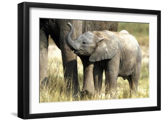 Photographic Print, , large