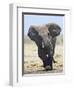 African Elephant, Charging, Etosha National Park, Namibia-Tony Heald-Framed Premium Photographic Print