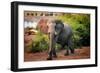 African elephant, Chobe National Park, Botswana, Africa-Karen Deakin-Framed Premium Photographic Print