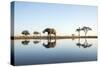 African Elephant, Chobe National Park, Botswana-Paul Souders-Stretched Canvas