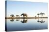 African Elephant, Chobe National Park, Botswana-Paul Souders-Stretched Canvas