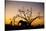 African Elephant, Chobe National Park, Botswana-Paul Souders-Stretched Canvas