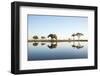 African Elephant, Chobe National Park, Botswana-Paul Souders-Framed Premium Photographic Print