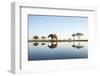 African Elephant, Chobe National Park, Botswana-Paul Souders-Framed Premium Photographic Print