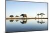 African Elephant, Chobe National Park, Botswana-Paul Souders-Mounted Premium Photographic Print