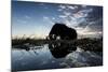 African Elephant, Chobe National Park, Botswana-Paul Souders-Mounted Photographic Print